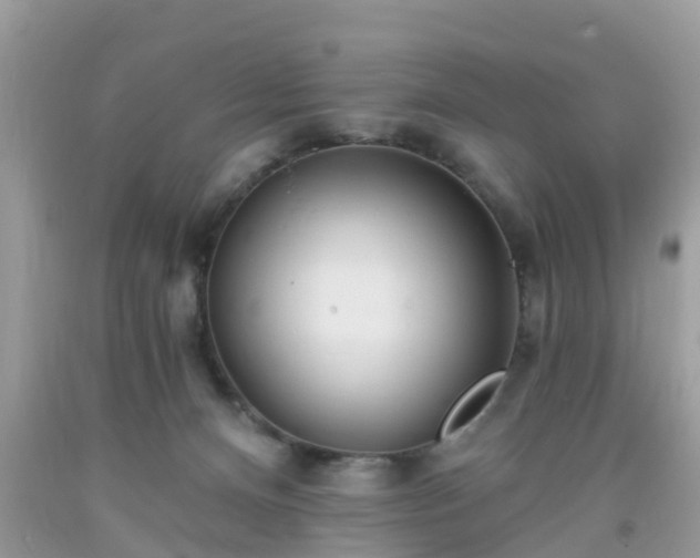 X0000093760128200710231300