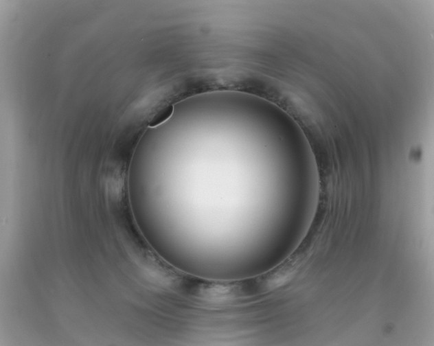 X0000093760129200710231300