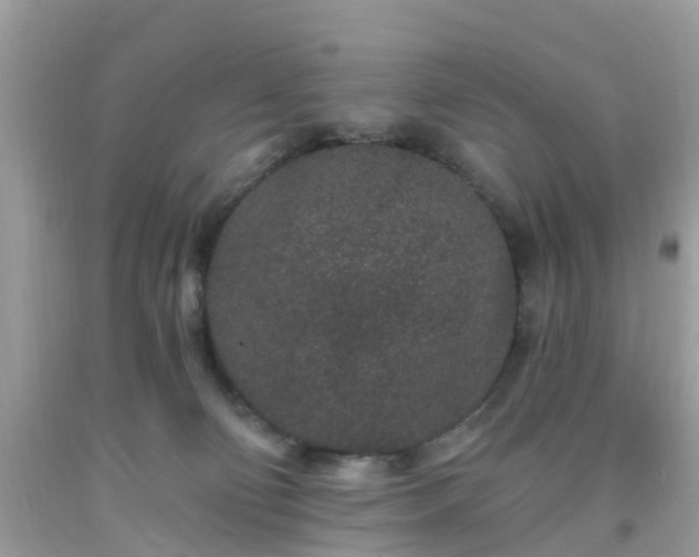 X0000093760130200710231300