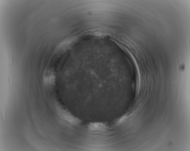 X0000093760137200710231300