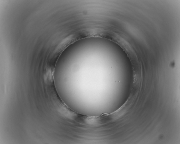 X0000093760142200710231300