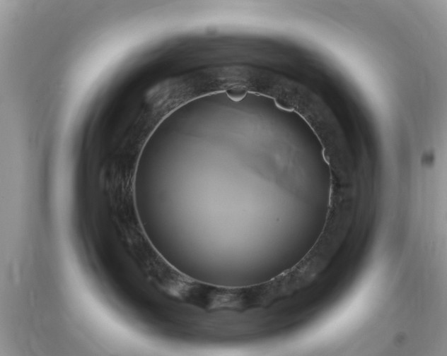 X0000093760143200710231300