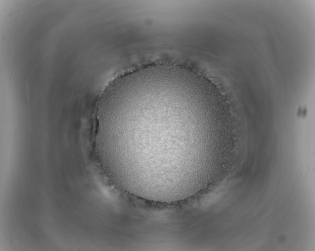 X0000093760144200710231300