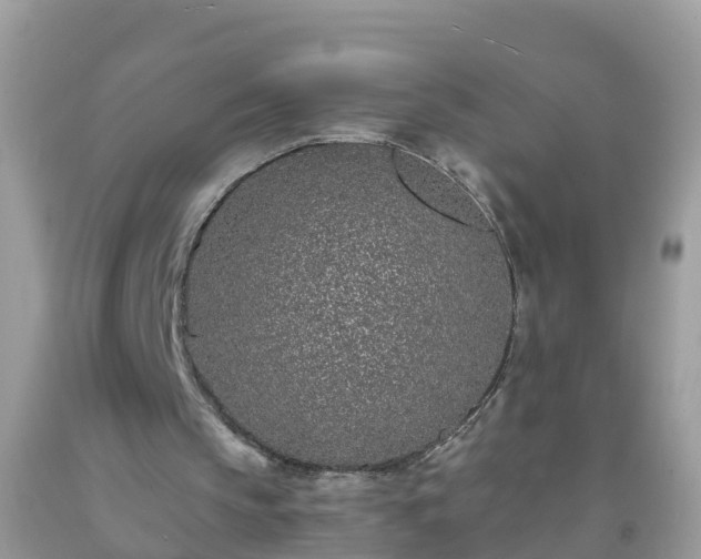 X0000093760145200710231259