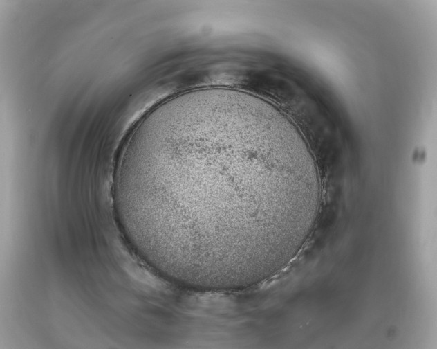 X0000093760146200710231259