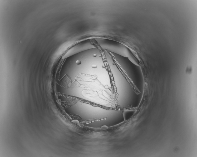 X0000093760149200710231259