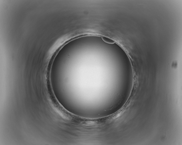 X0000093760151200710231259