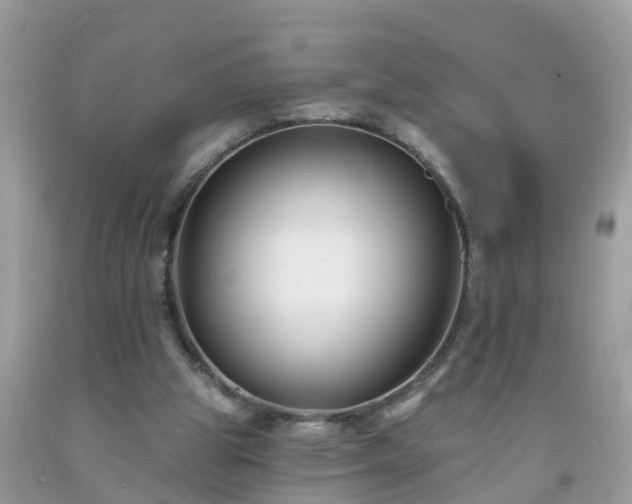 X0000093760153200710231259