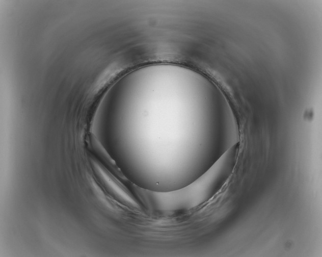 X0000093760154200710231259