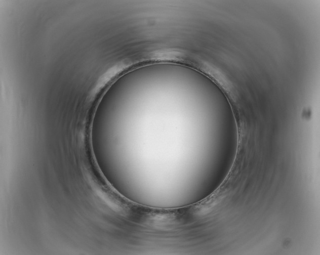 X0000093760155200710231259