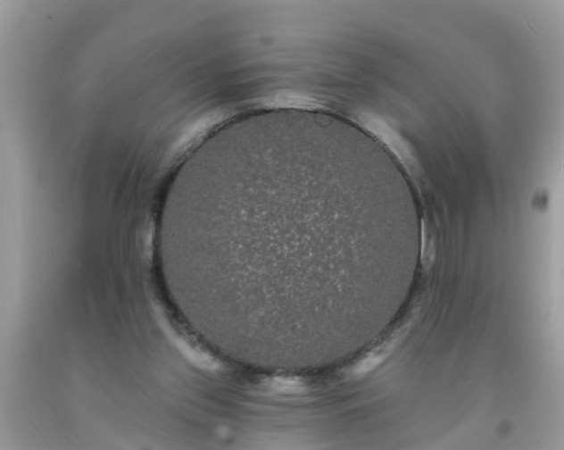 X0000093760157200710231259