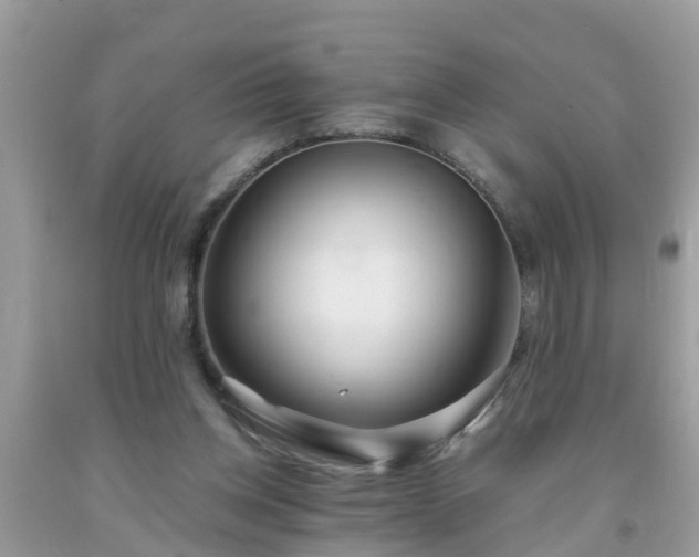 X0000093760158200710231259