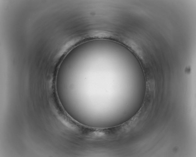 X0000093760159200710231259