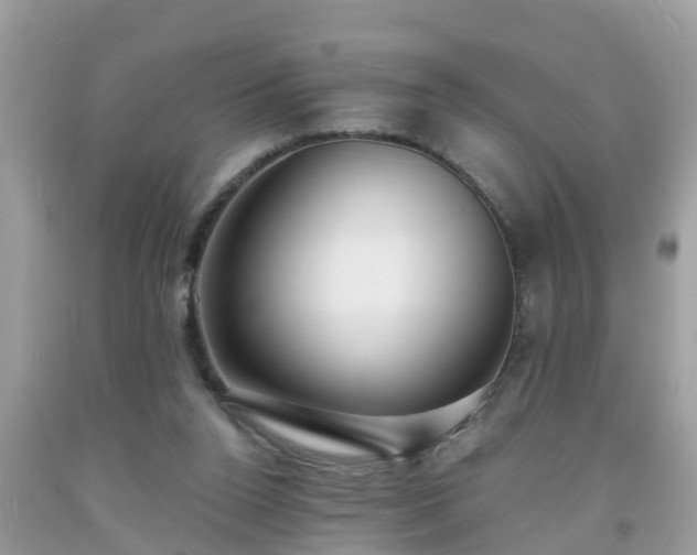 X0000093760160200710231259