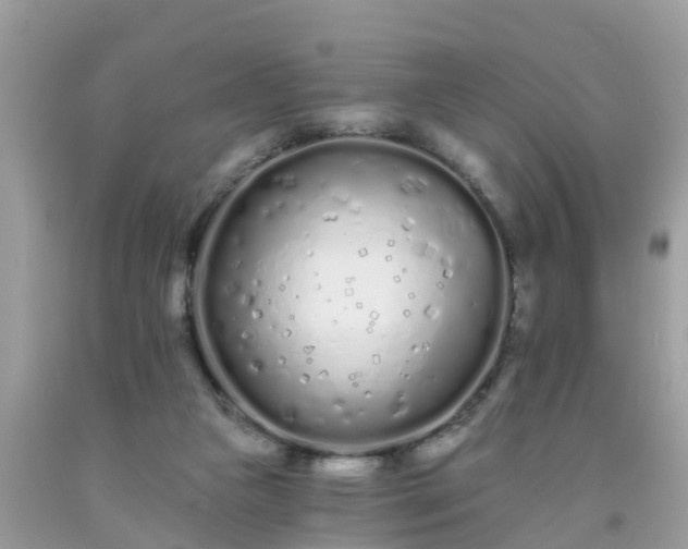 X0000093760161200710231259