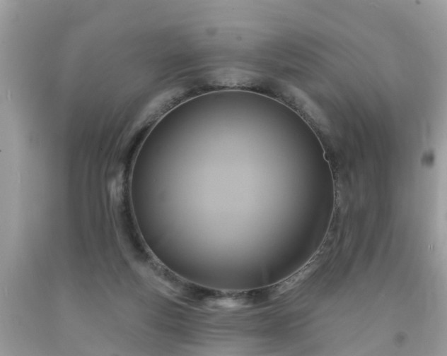 X0000093760163200710231259