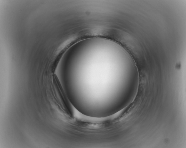 X0000093760164200710231259