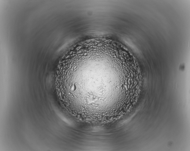 X0000093760165200710231259