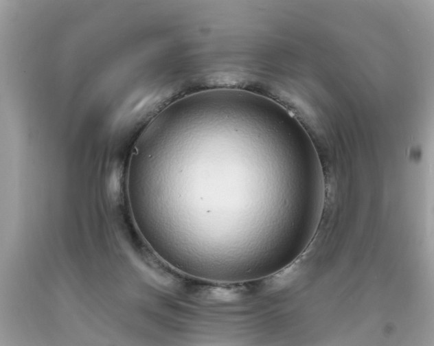 X0000093760166200710231259