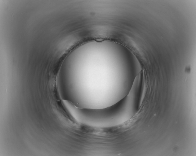 X0000093760168200710231259