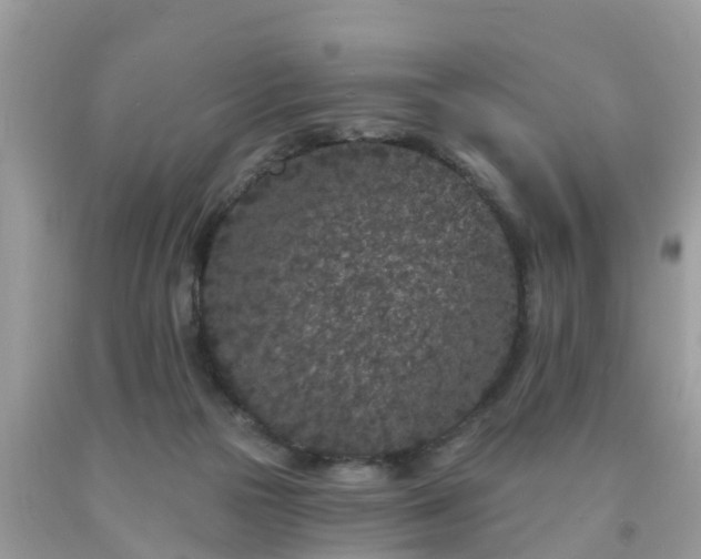 X0000093760169200710231259