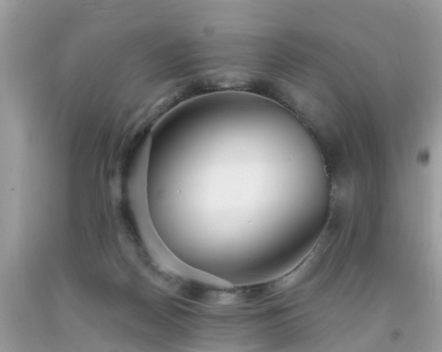 X0000093760170200710231259