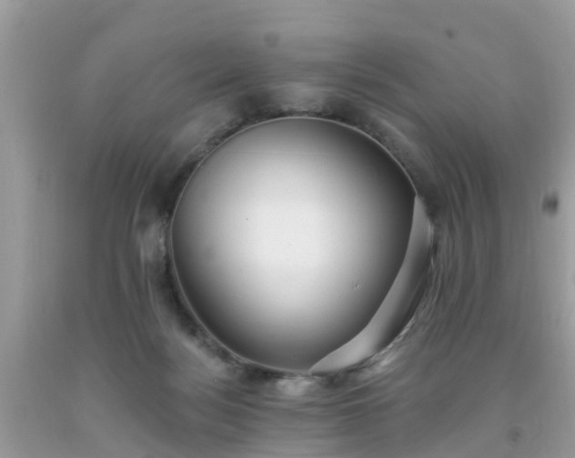 X0000093760172200710231259