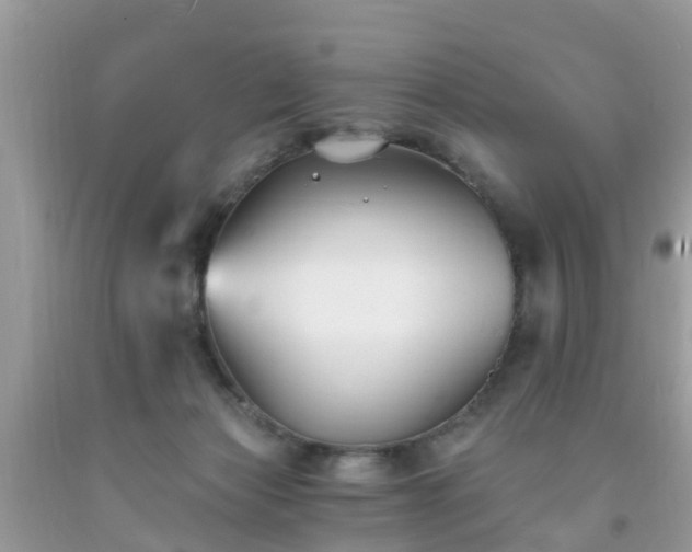 X0000093760173200710231259