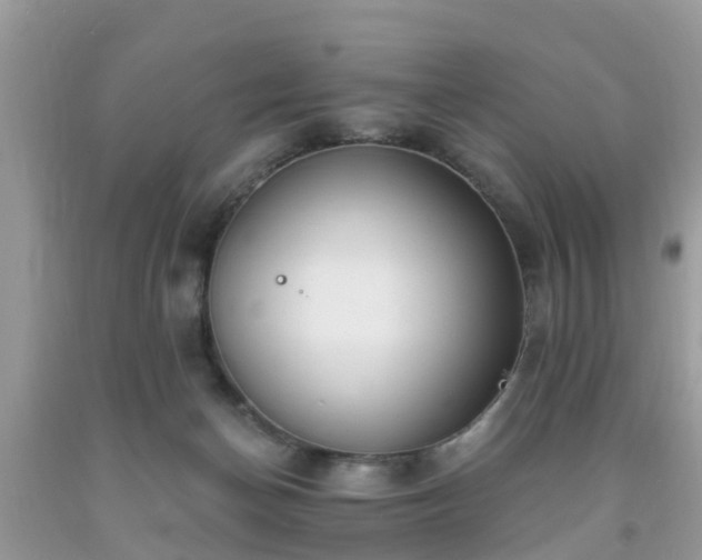 X0000093760174200710231259