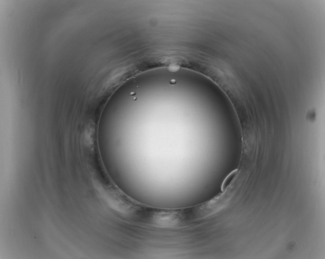 X0000093760175200710231259