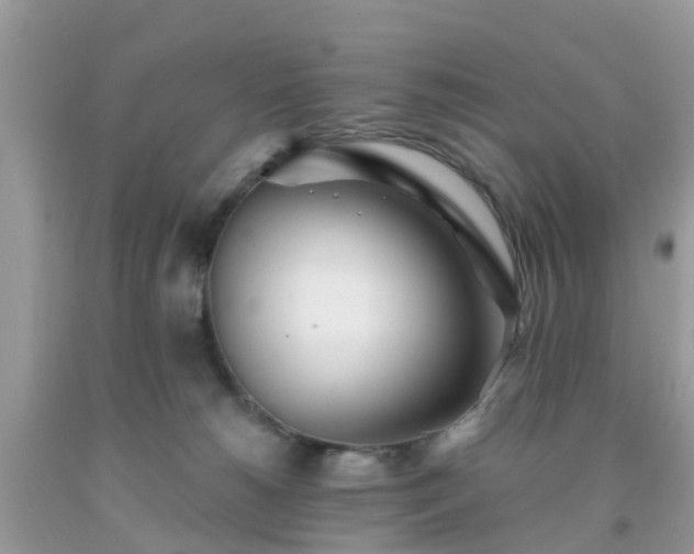 X0000093760180200710231300