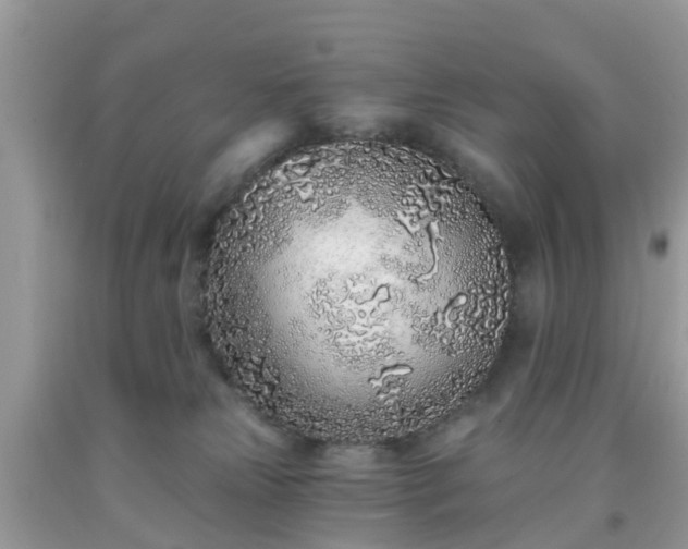 X0000093760181200710231300