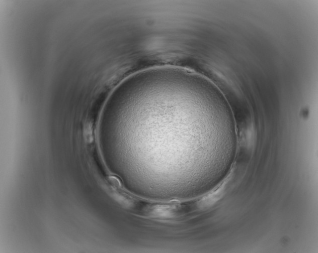 X0000093760182200710231300