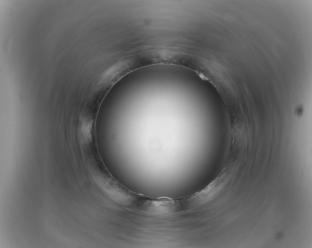 X0000093760188200710231300