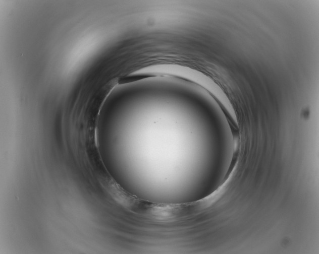 X0000093760190200710231300