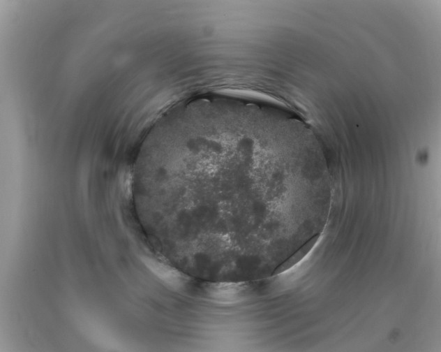 X0000093760191200710231300