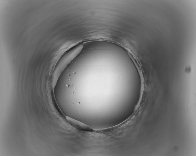 X0000093760193200710231259