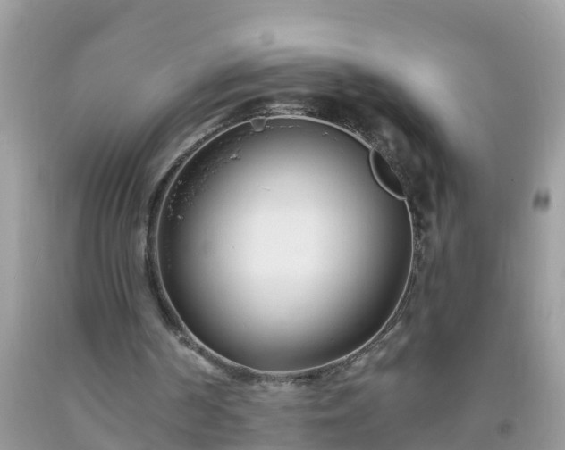 X0000093760194200710231259