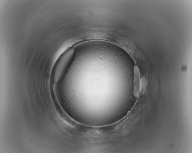 X0000093760195200710231259