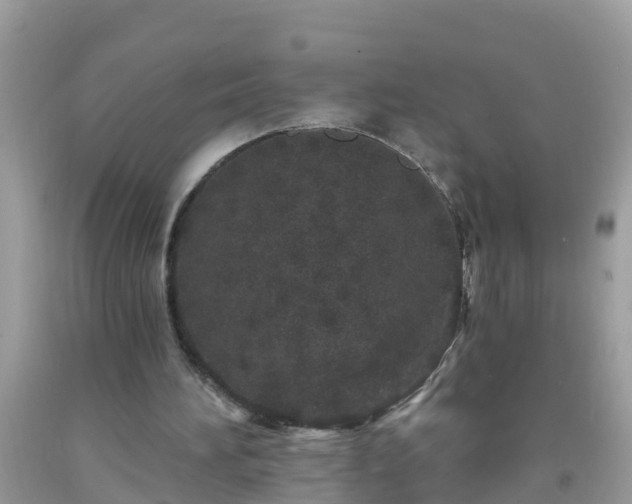 X0000093760196200710231259