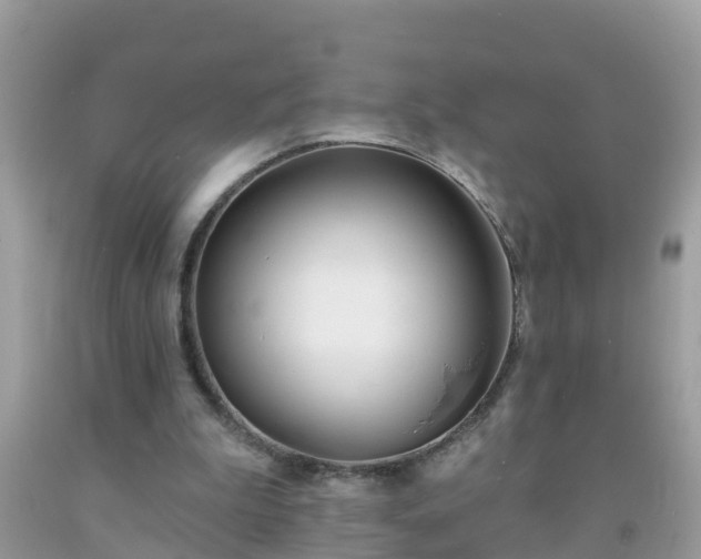 X0000093760199200710231259