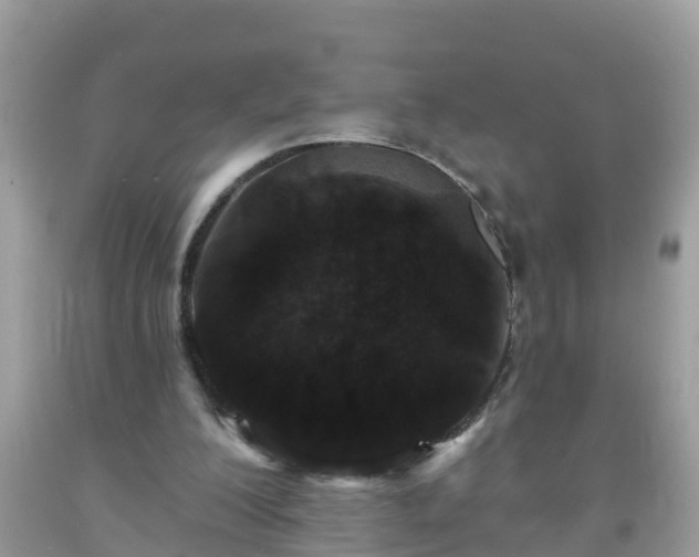 X0000093760200200710231259