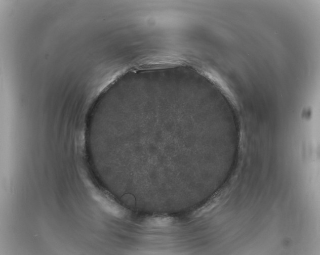 X0000093760202200710231259