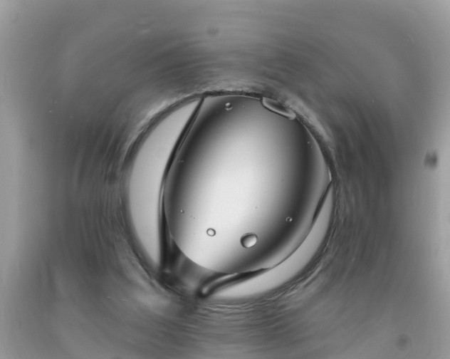 X0000093760203200710231259