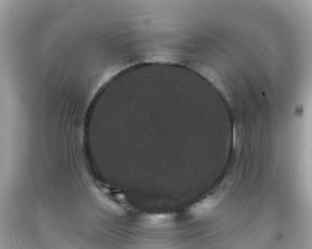 X0000093760204200710231259