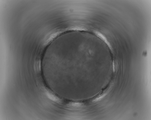 X0000093760205200710231259