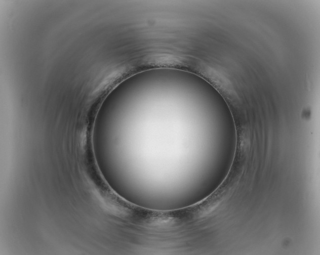 X0000093760206200710231259