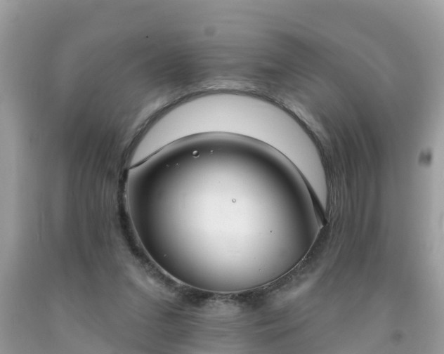 X0000093760207200710231259