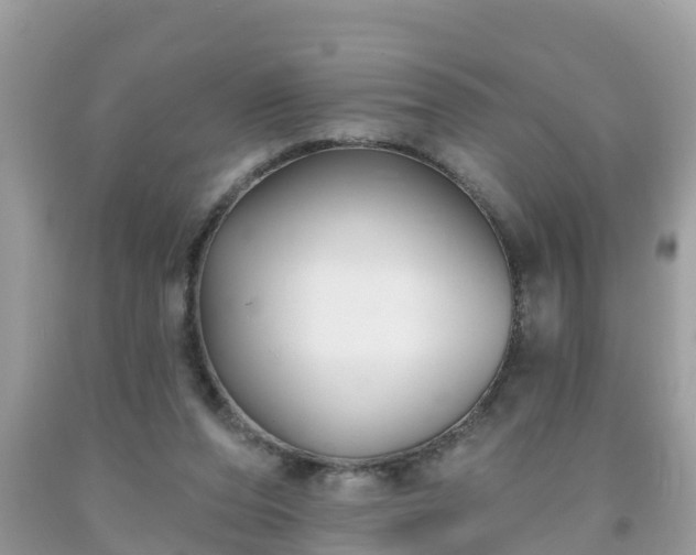 X0000093760208200710231259