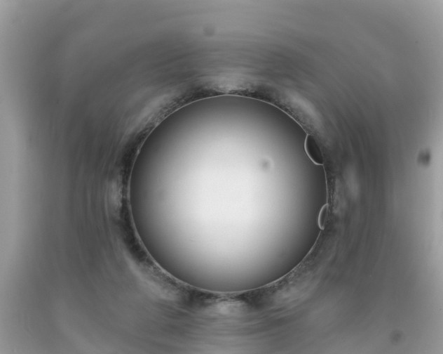 X0000093760210200710231259